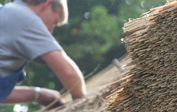 professional Goytre thatchers